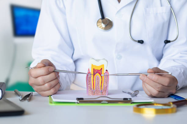 Best Pediatric Emergency Dentist in Luna Pier, MI